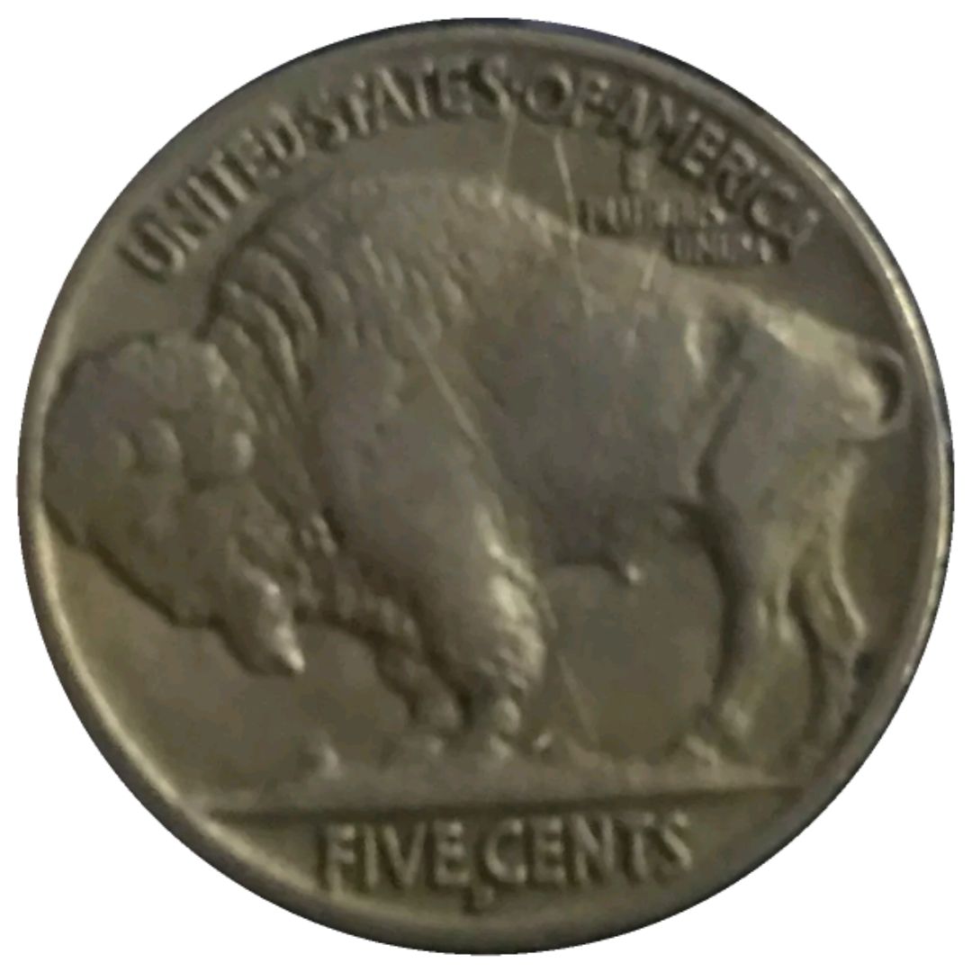1916-D-Buffalo-Nickel-#2